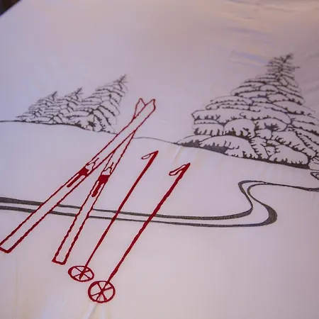 Le Refuge 2 - Access - Close To Lift Nendaz